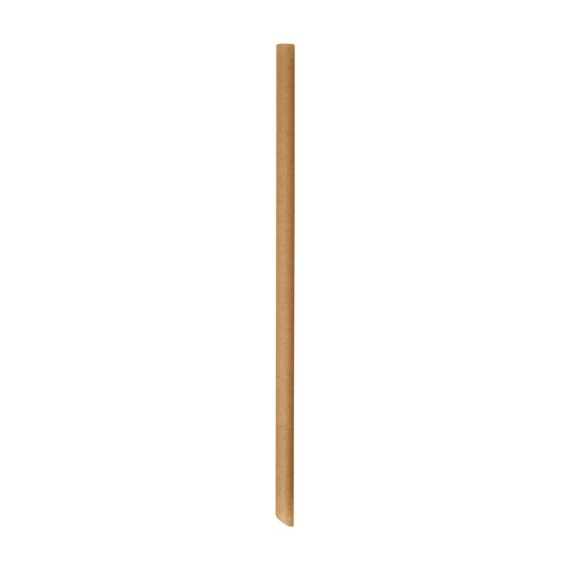 Little Green Panda Smoothie Sugar Cane Straw (8x210mm) - 300 pack
