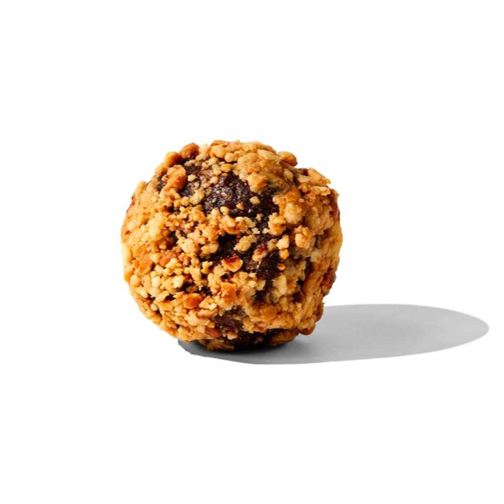 Raw Treat Salted Caramel Protein Ball 40g – 15 Pack